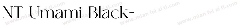 NT Umami Black字体转换